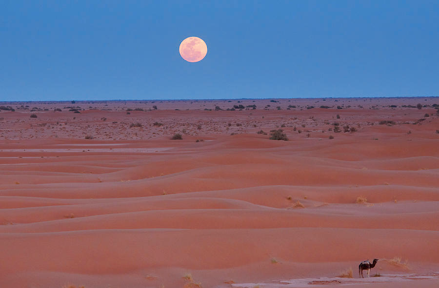Full Moon – April 1, 2026